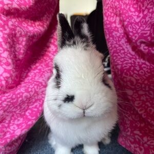 SPECIAL BUNDLE LISTING